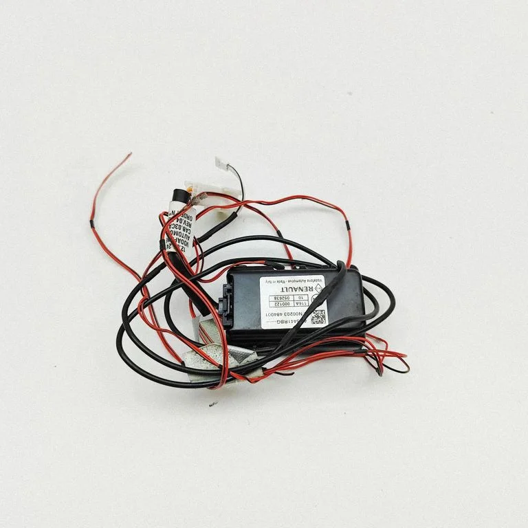 Beraktės sistemos KESSY (keyless) valdymo blokas/ modulis