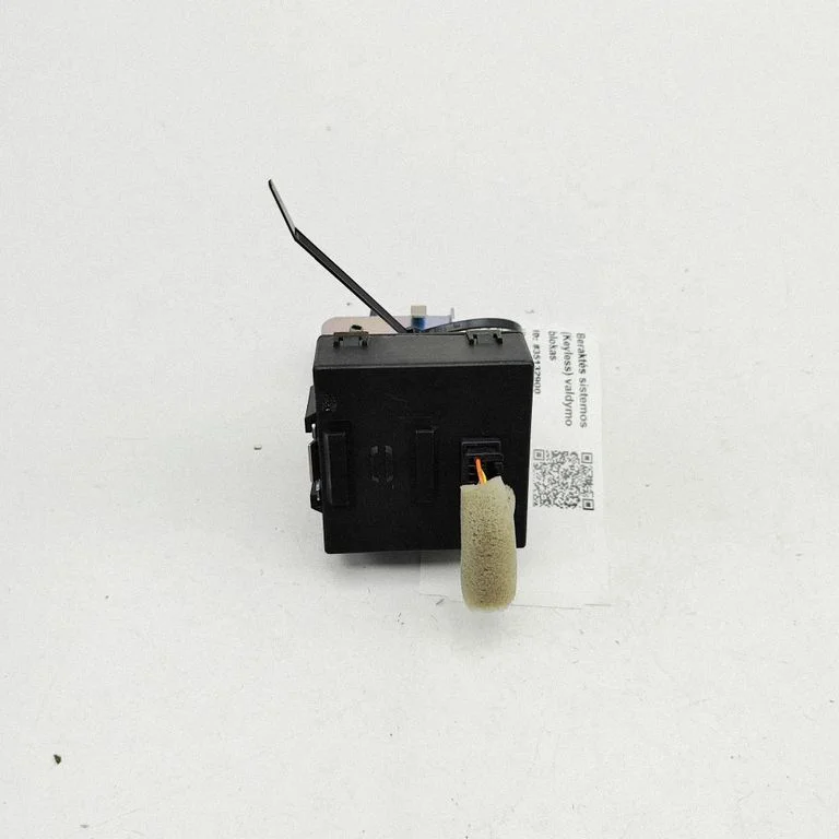 Beraktės sistemos KESSY (keyless) valdymo blokas/ modulis