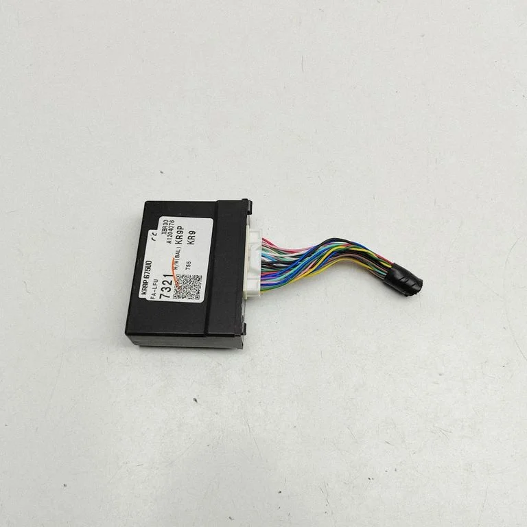 Beraktės sistemos KESSY (keyless) valdymo blokas/ modulis