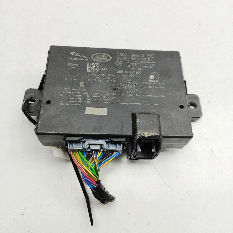 Beraktės sistemos KESSY (keyless) valdymo blokas/ modulis