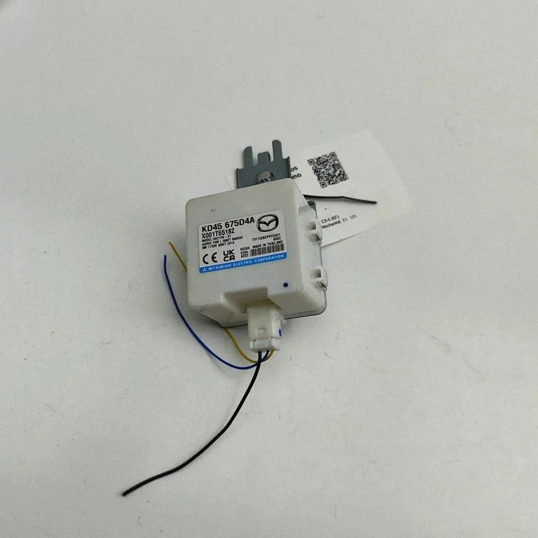 Beraktės sistemos KESSY (keyless) valdymo blokas/ modulis