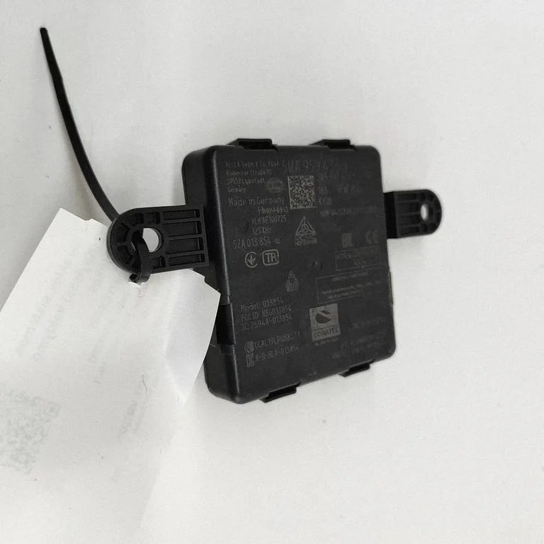 Beraktės sistemos KESSY (keyless) valdymo blokas/ modulis