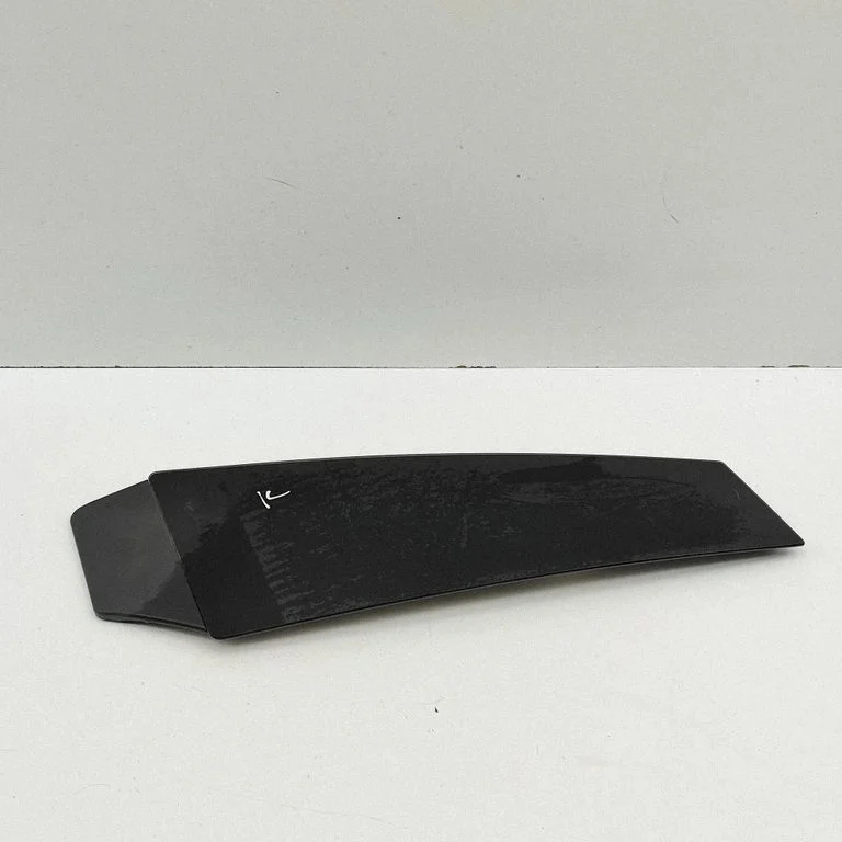 Front door glass trim molding 9J1845031A