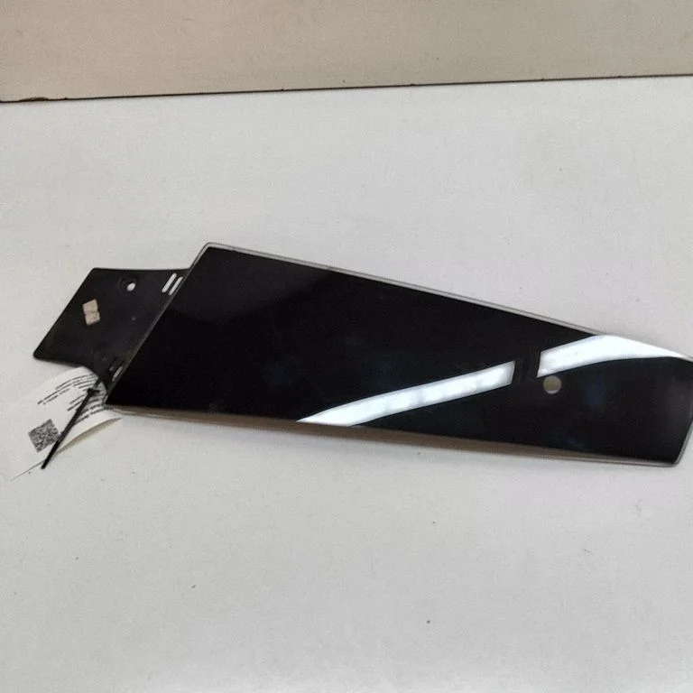 Front door glass trim molding 109230700E