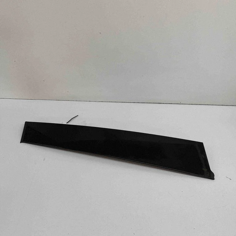 Front door glass trim molding A1646902987