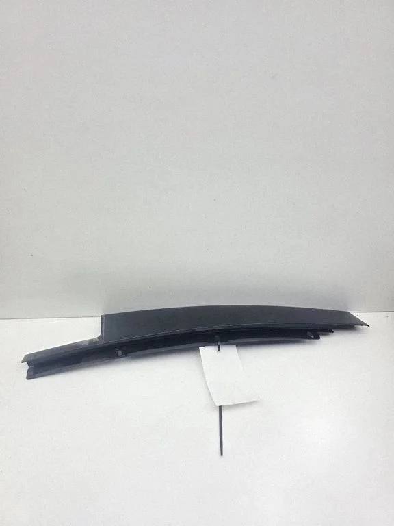 Rear door glass trim molding