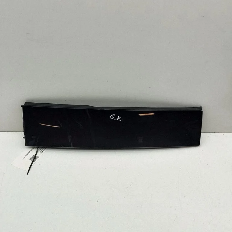 Rear door glass trim molding FL3Z16255A35BAS