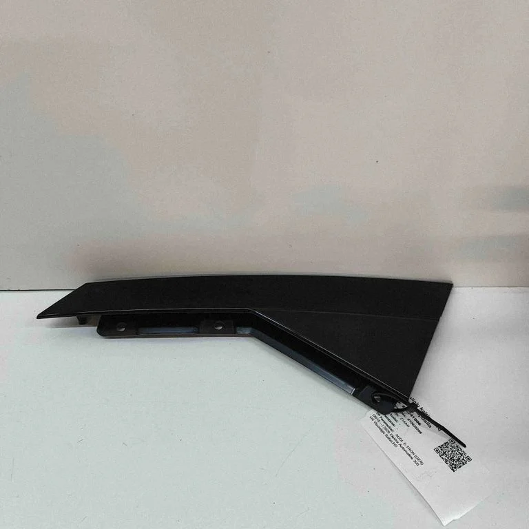 Rear door glass trim molding