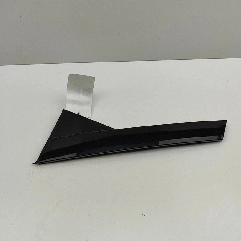 Rear door glass trim molding 8W9839903A