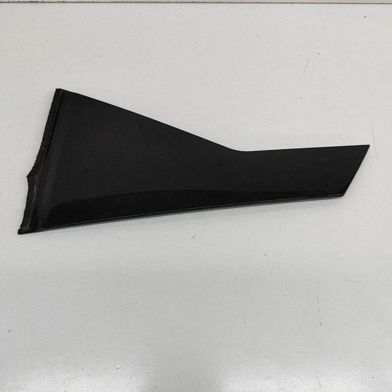 Aizmugurējo durvju stikla apdare 822916UA1A