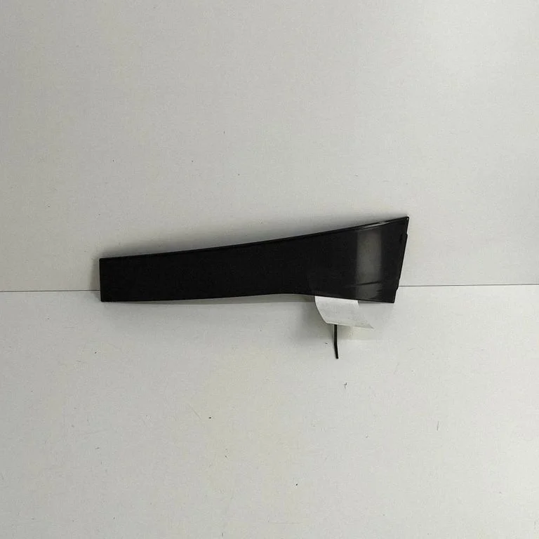 Rear door glass trim molding – Volkswagen Passat CC (2008-2016)