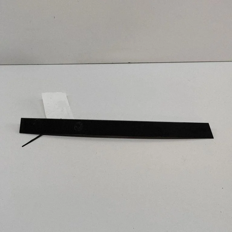 Rear door glass trim molding – BMW X3 G01 (2018-2024)