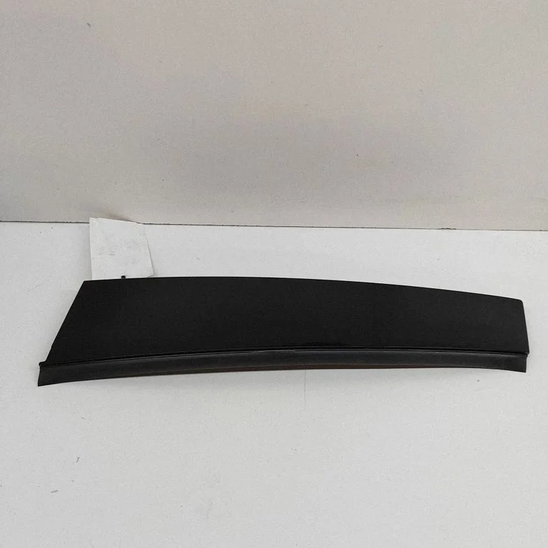 Rear door glass trim molding