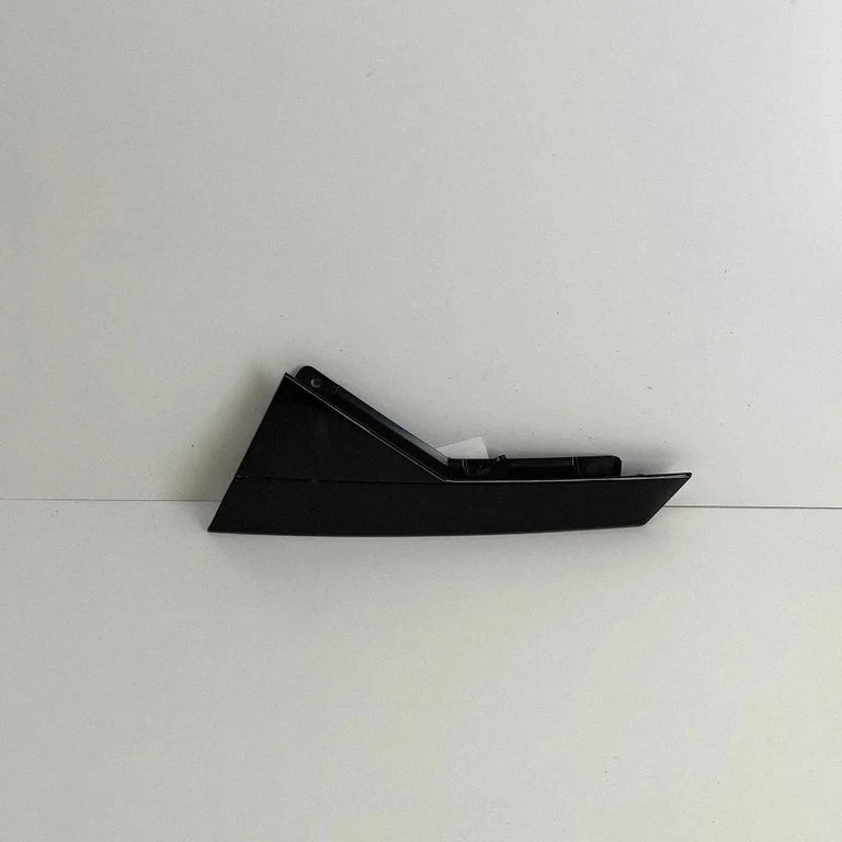 Rear door glass trim molding
