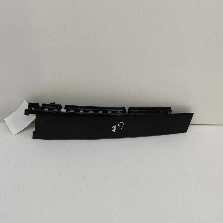 Rear door glass trim molding LJ6BS254A40AA