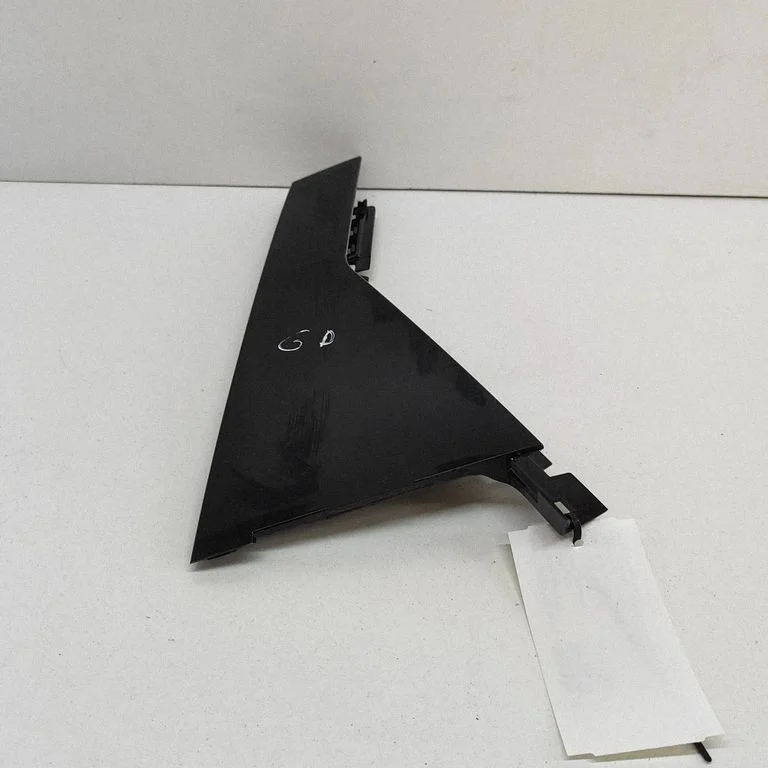 Rear door glass trim molding LV4BS254A42AB