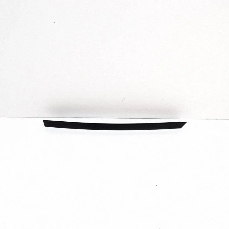 Rear door glass trim molding – BMW X3 G01 (2018-2024)