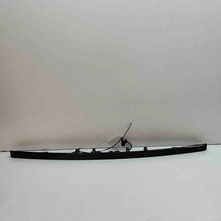 Trunk door license plate light bar BJ3213554AA