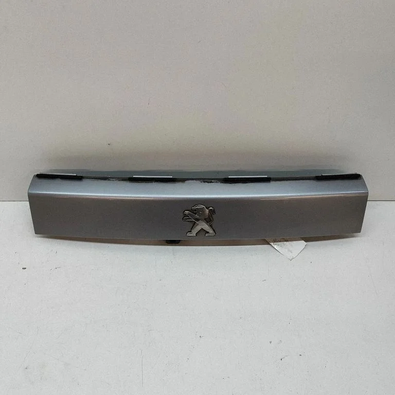 Listwa oświetlenia tablicy rejestracyjnej na klapie – Peugeot 2008 II (2019-)