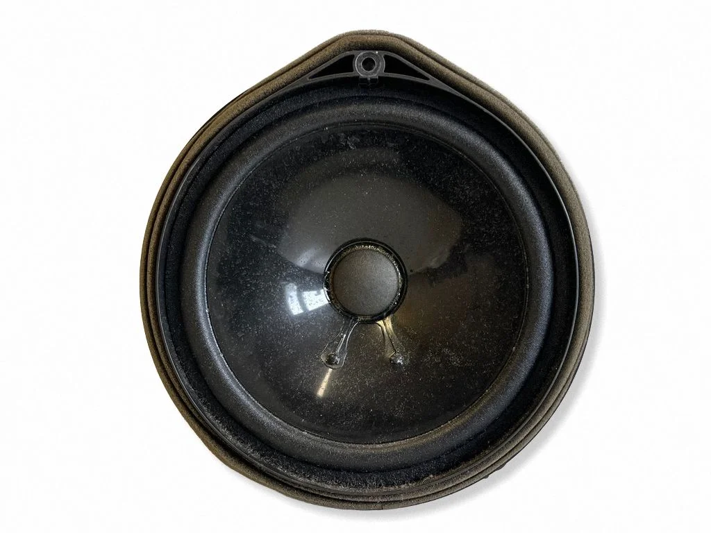 Tagaukse kõlar(id) 9H910G