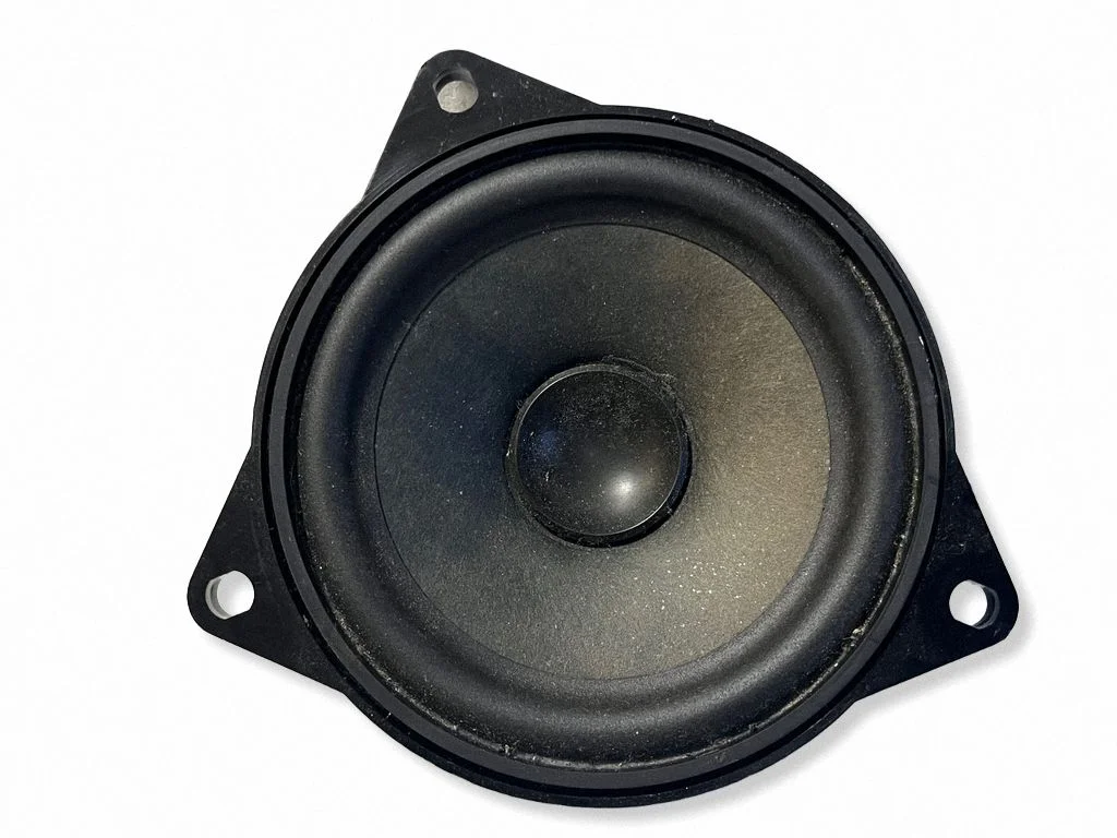 Rear door speaker 9804157