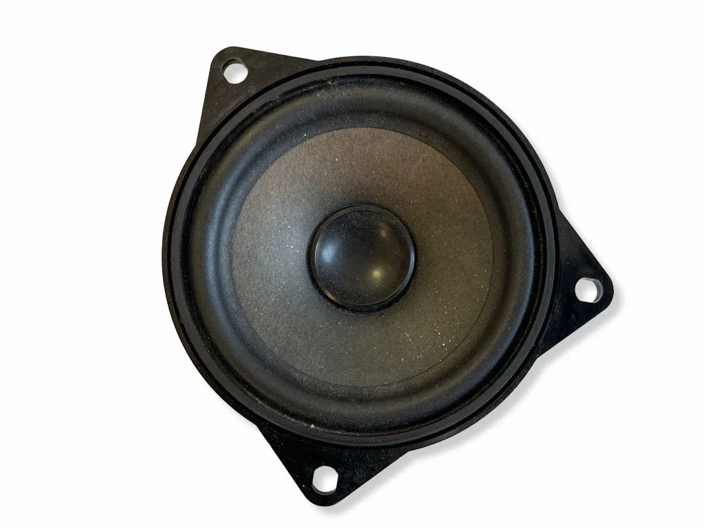Rear door speaker 9804157