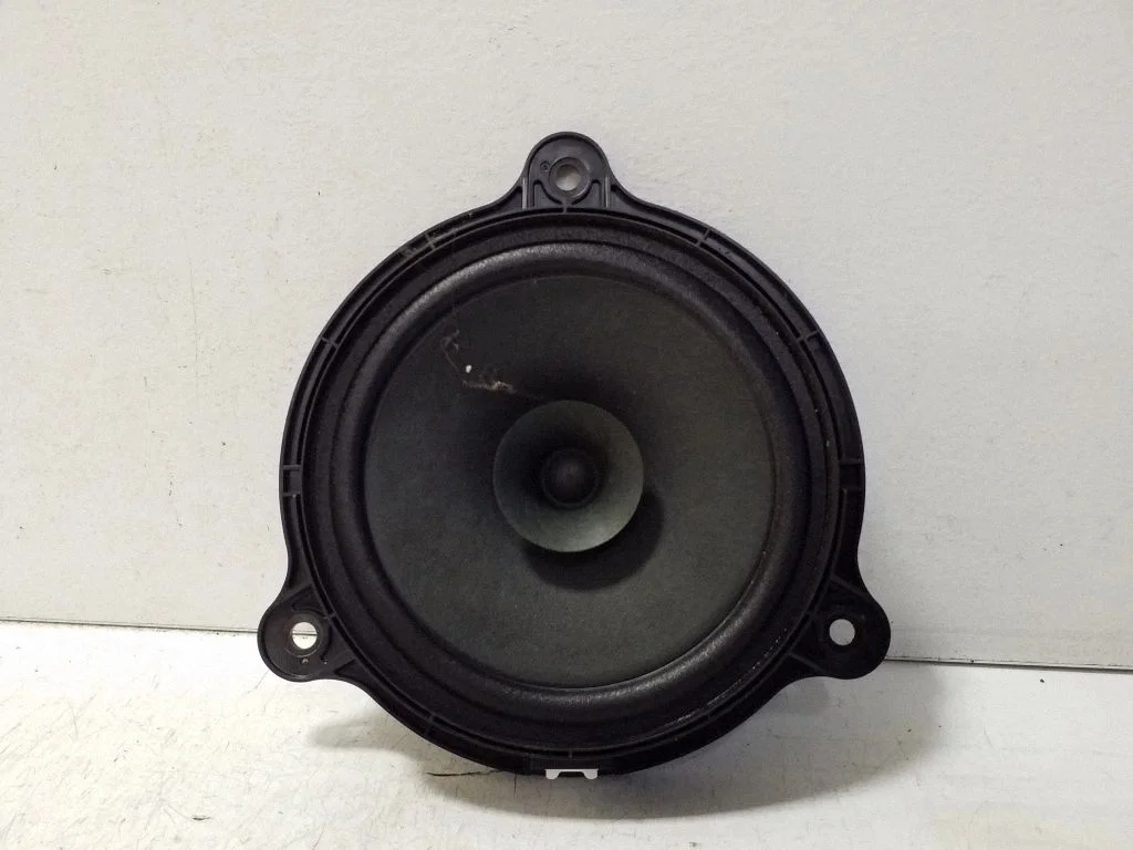 Rear door speaker 577449