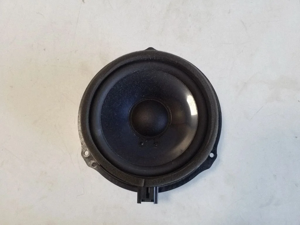 Skaļrunis (-ņi) aizmugurējās durvīs – Ford S-MAX (2006-2015)