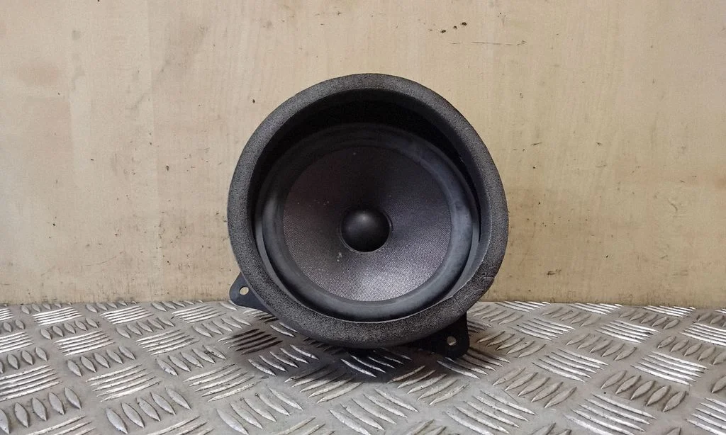 Rear door speaker
