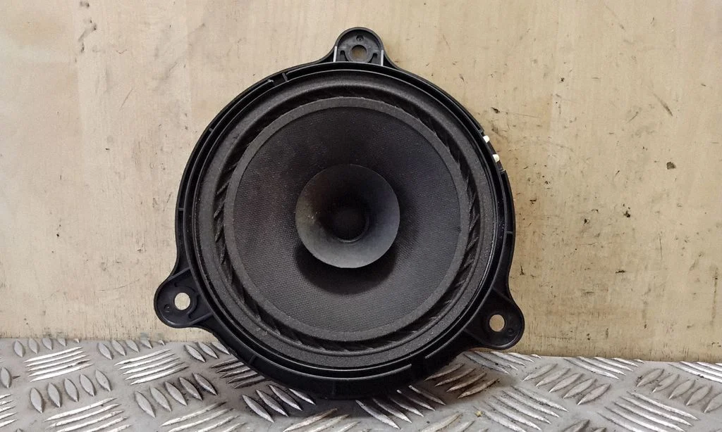 Rear door speaker