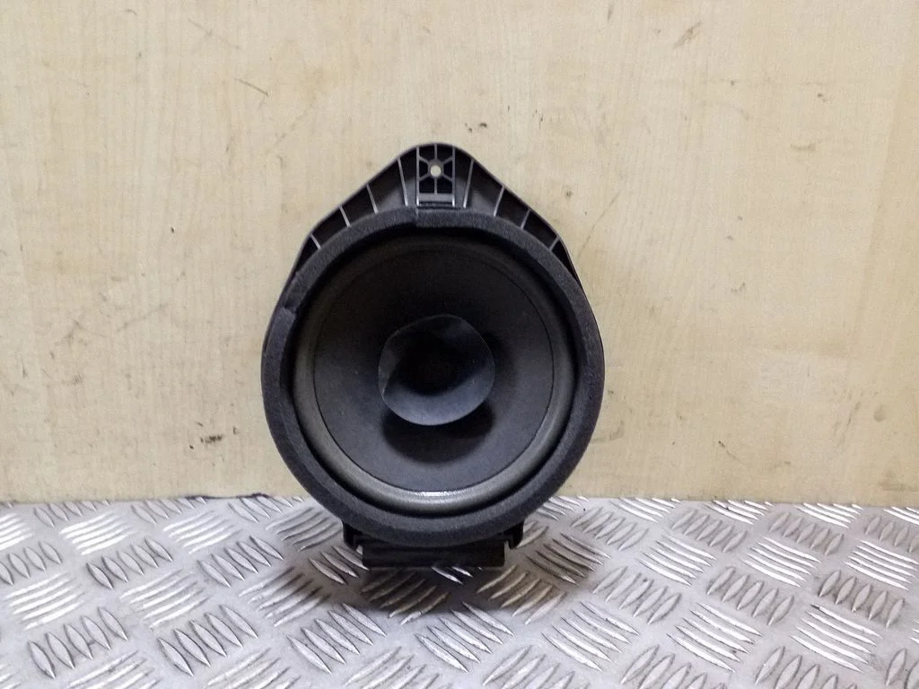Rear door speaker – right