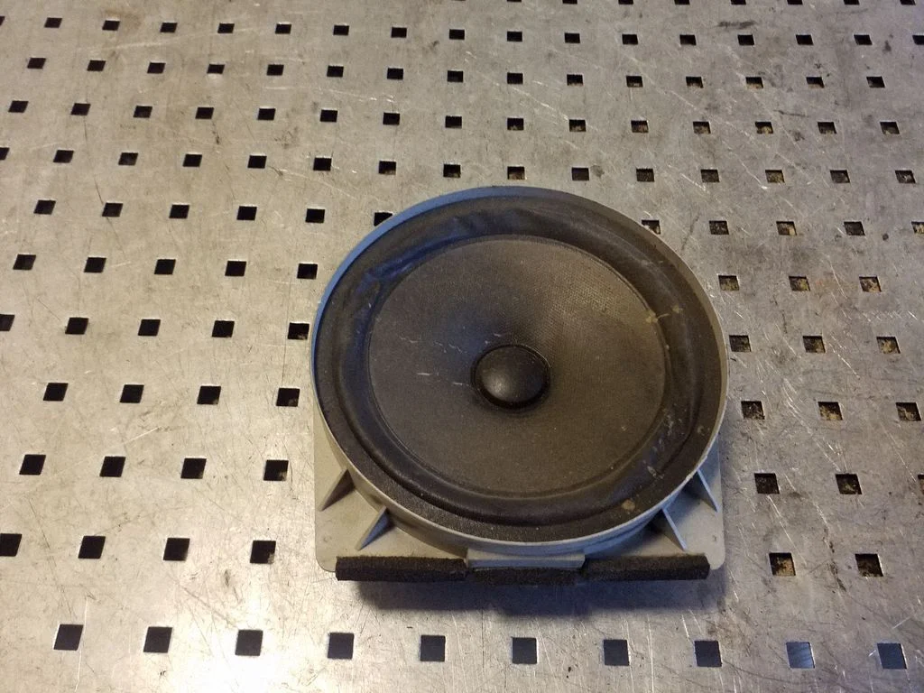 Rear door speaker EAS16P647E5