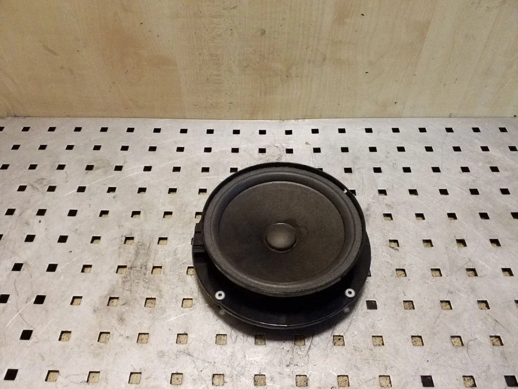 Rear door speaker