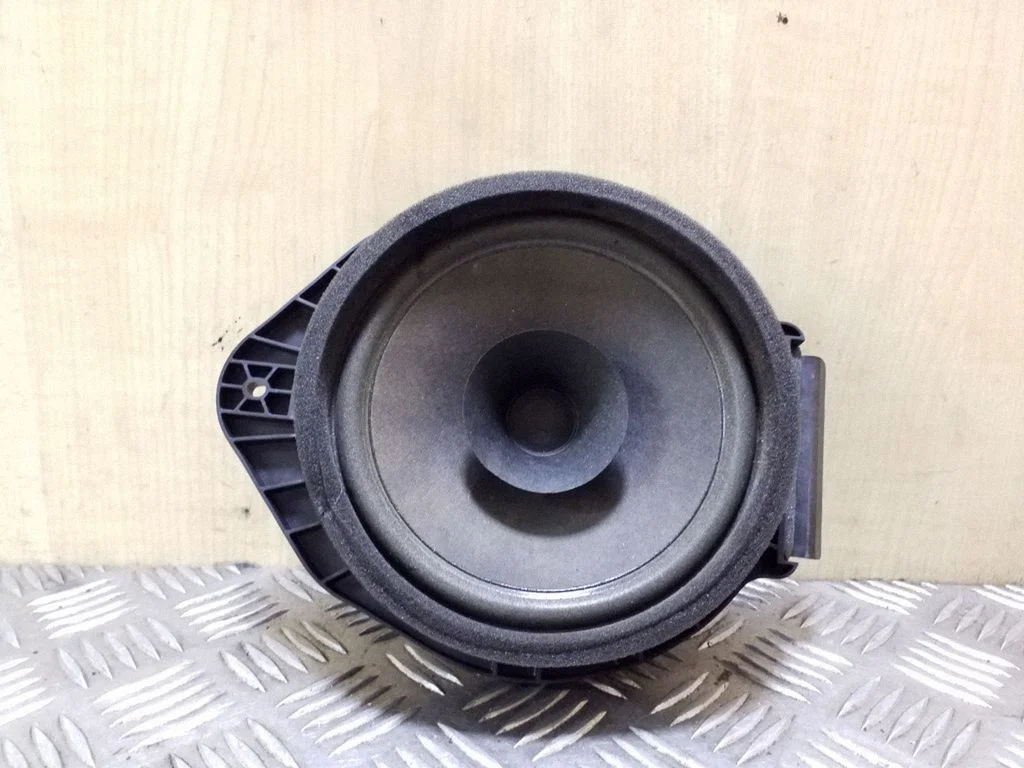 Rear door speaker – right
