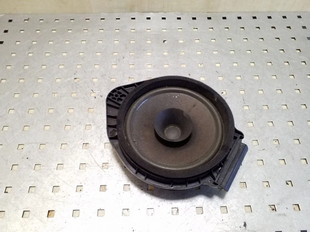 Rear door speaker