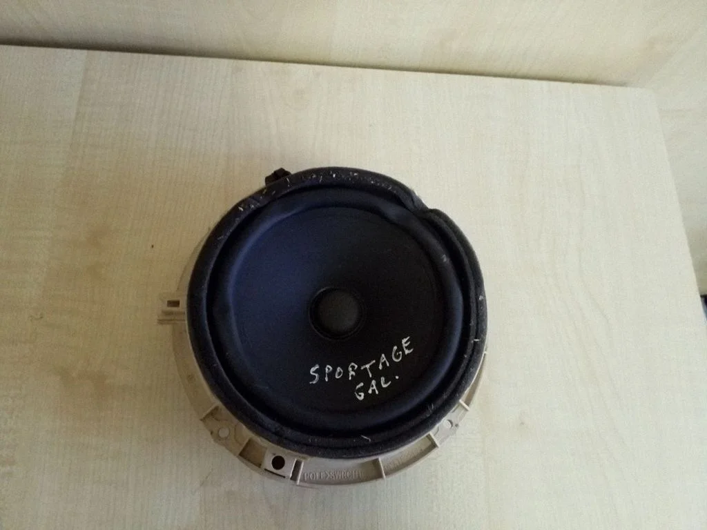 Rear door speaker