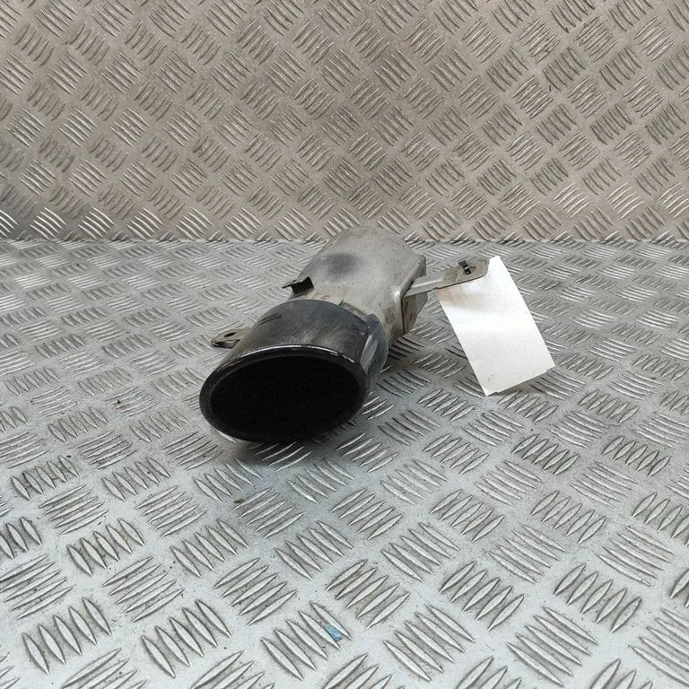 Duslintuvo antgalis