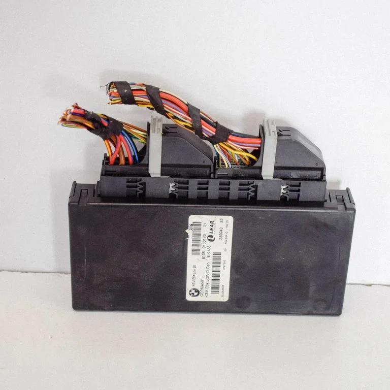Gateway control module – BMW 5 Series E60 E61 (2004-2010)