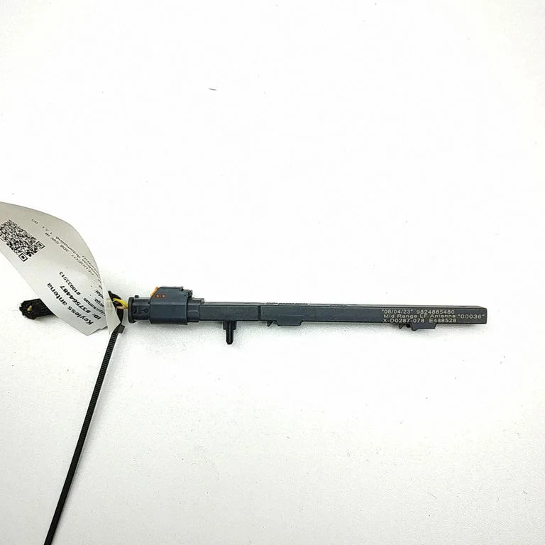 Beraktės sistemos antena