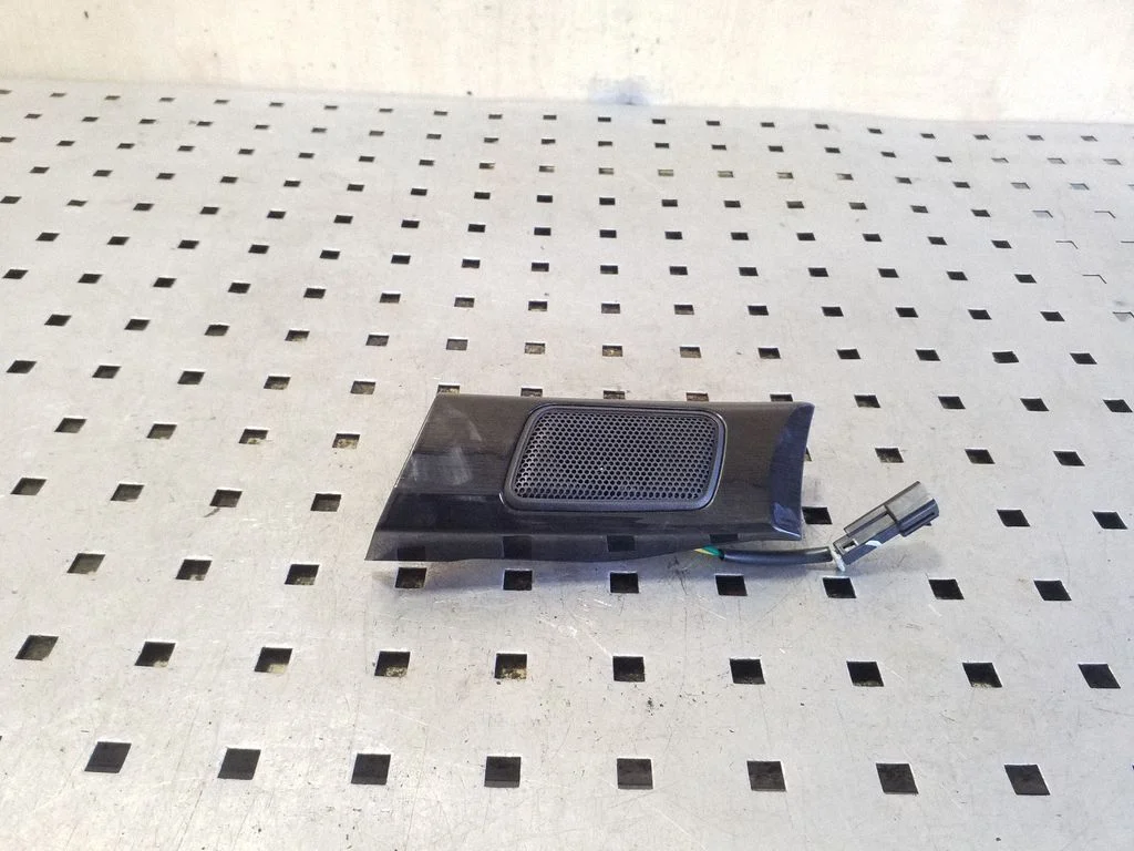 Front door high frequency speaker 20804210