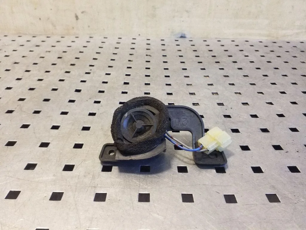 Front door high frequency speaker 86304AG200