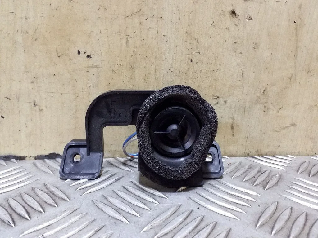 Front door high frequency speaker 86304AG210