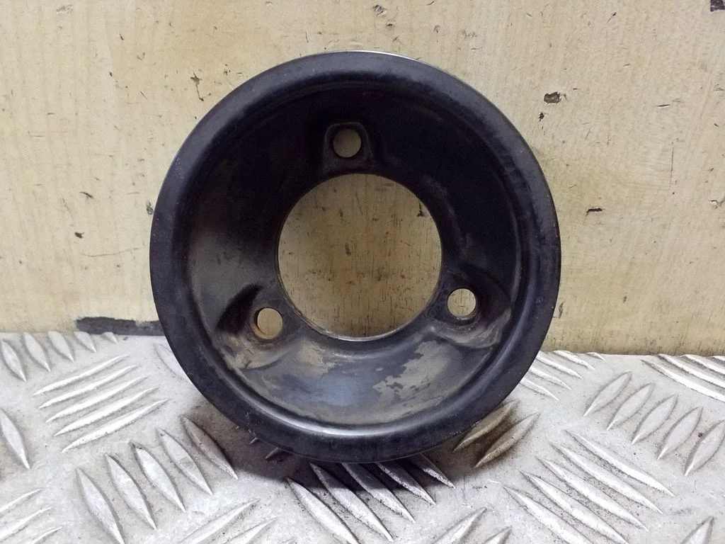 Koło pasowe pompy wody 210511238R