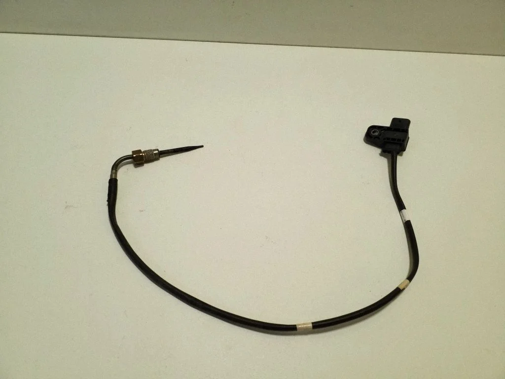 Heitgaasi temperatuuriandur – Nissan Qashqai J12 (2021-)