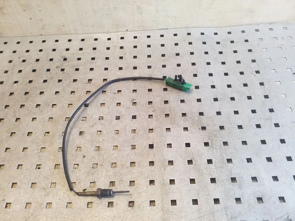 Exhaust gas temperature sensor