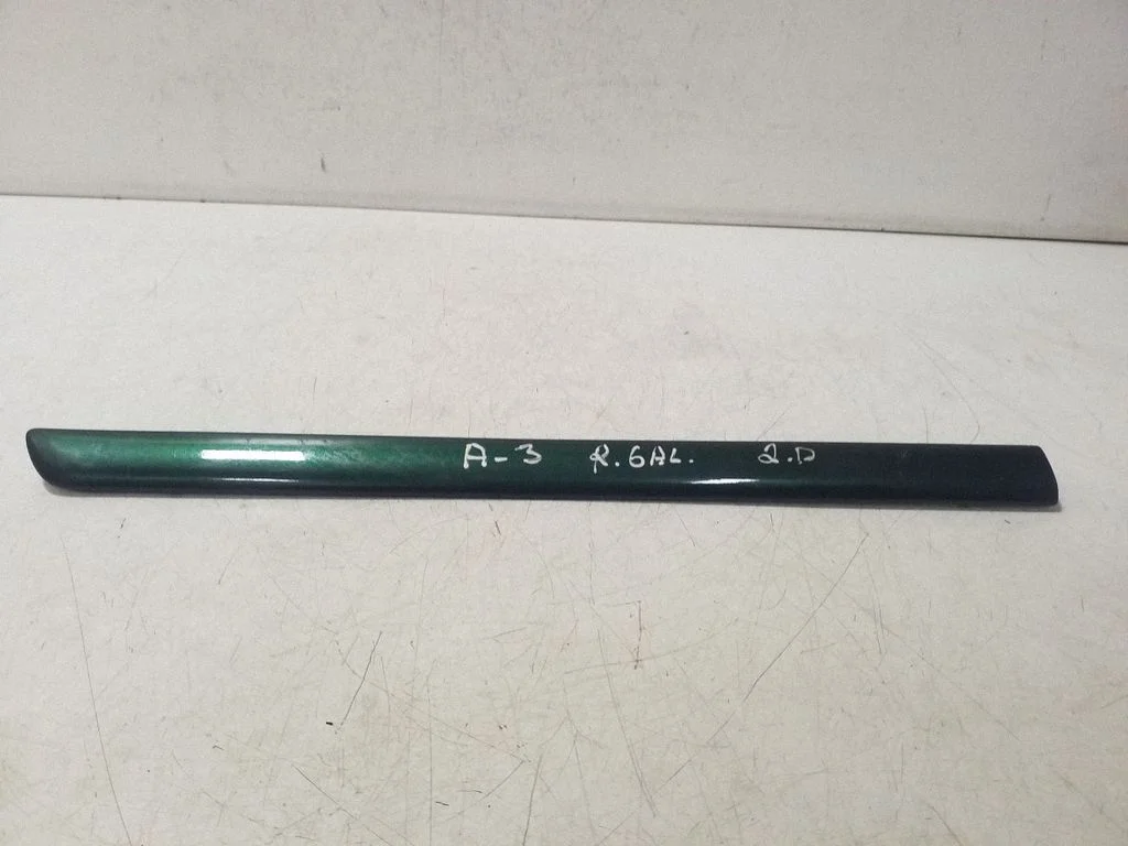 Fender trim (molding) – right