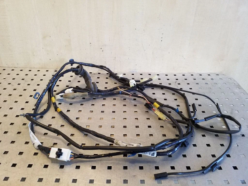 Pakiruumiluugi juhtmestik – Subaru Forester SG (2003-2005)