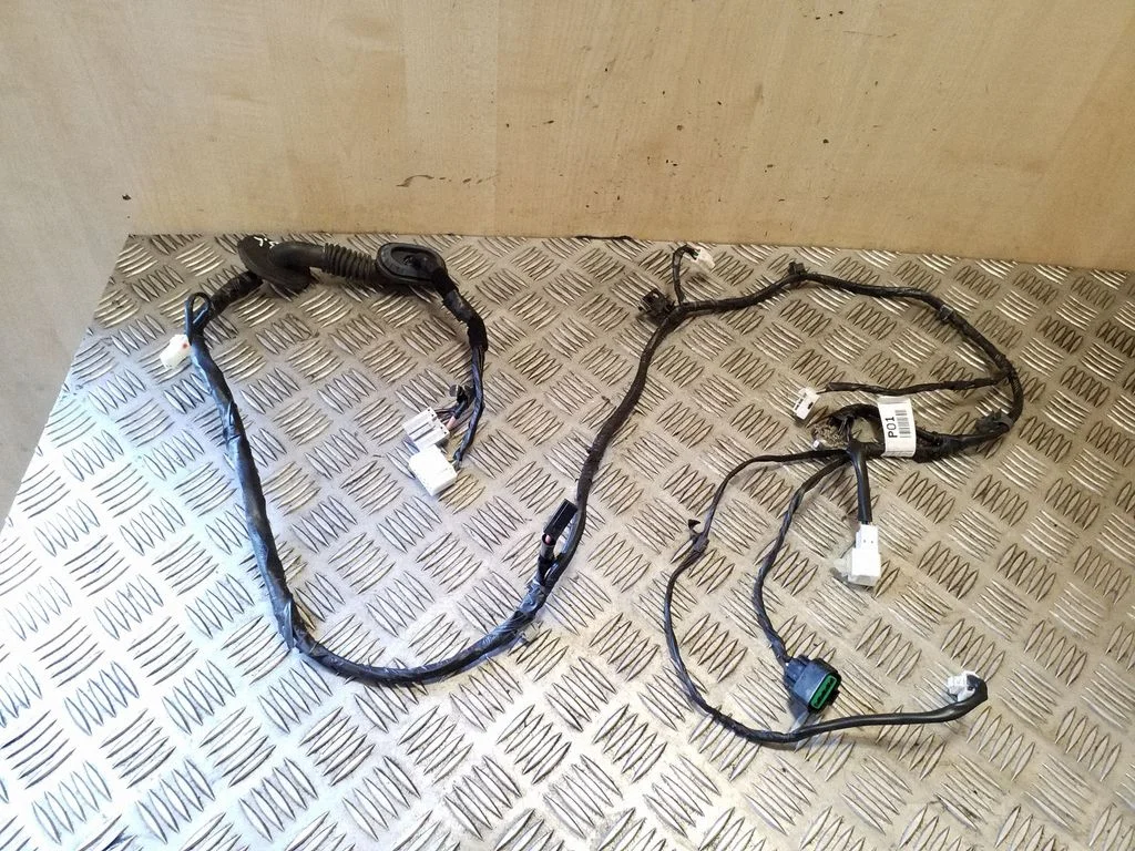 Pakiruumiluugi juhtmestik 916803U010