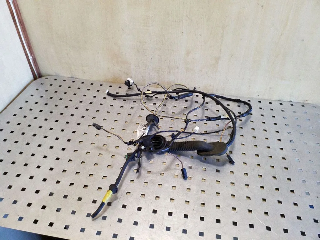 Tailgate/trunk wiring harness BV6T14D466