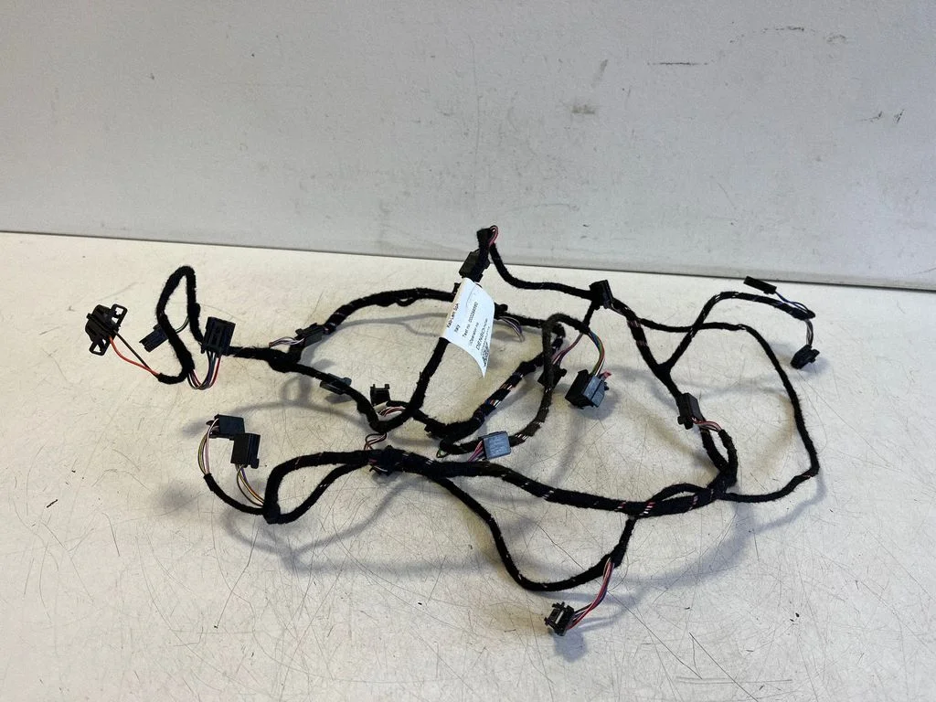 Other wiring loom 971971565C